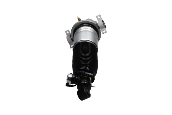 Air Suspension Strut